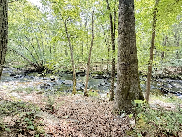 6414 Decker Rd, Bushkill, PA 18324 - view of local wilderness