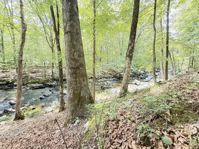 6414 Decker Rd, Bushkill, PA 18324 - view of wooded area