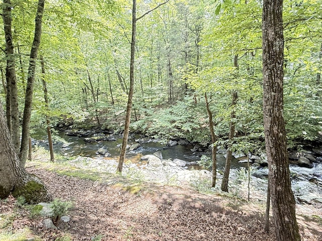 6414 Decker Rd, Bushkill, PA 18324 - view of wooded area