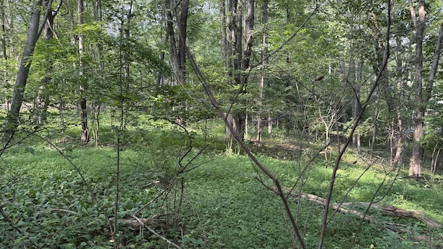 6414 Decker Rd, Bushkill, PA 18324 - view of woods