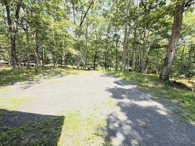 6414 Decker Rd, Bushkill, PA 18324 - view of road featuring a view of trees