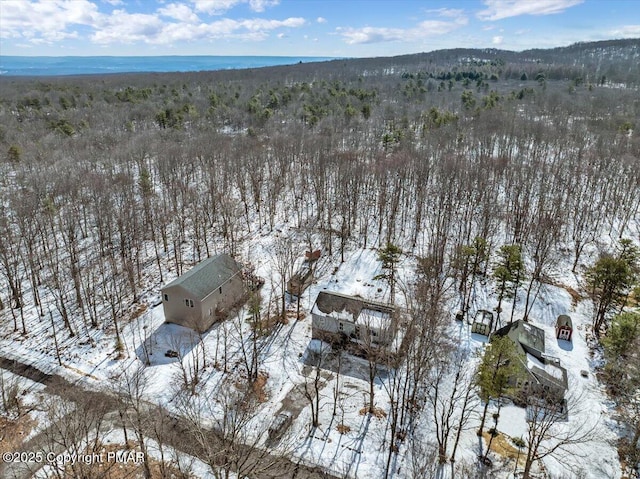 birds eye view of property with a forest view