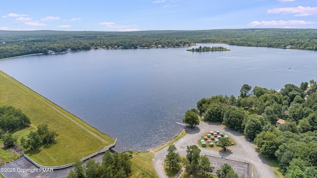 bird's eye view with a view of trees and a water view