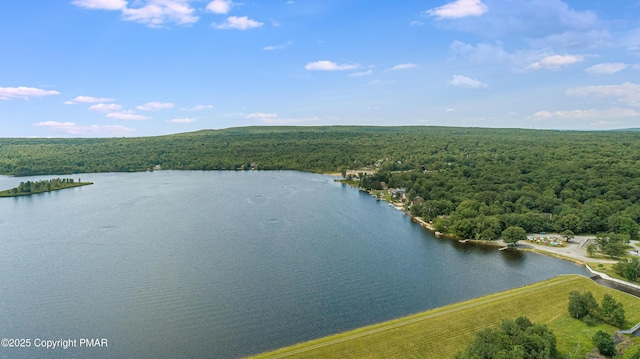 bird's eye view featuring a wooded view and a water view