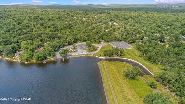 drone / aerial view featuring a view of trees and a water view