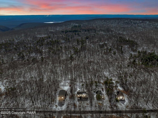 birds eye view of property with a mountain view