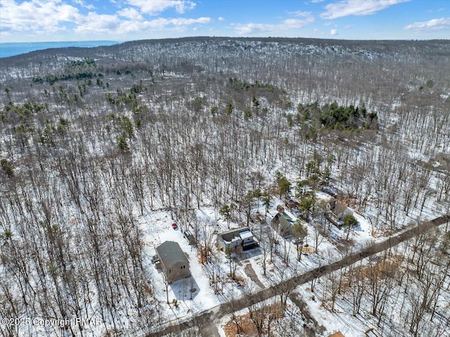 view of snowy aerial view