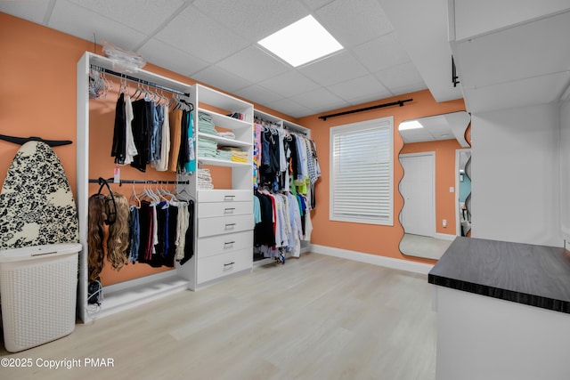 spacious closet featuring a drop ceiling and wood finished floors