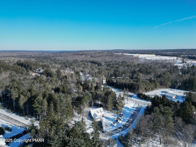 bird's eye view with a wooded view