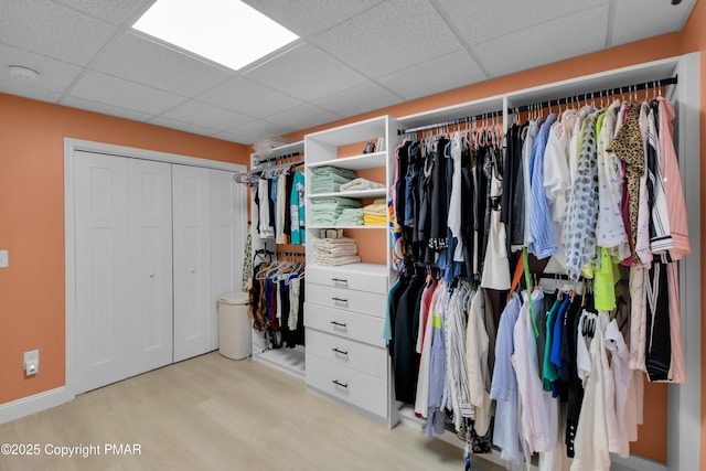 spacious closet featuring a drop ceiling and light wood-style floors