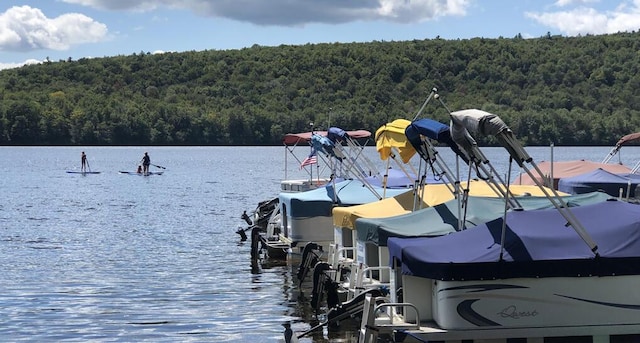134 Telemark, Lake Harmony, PA 18624 - dock area with a forest view and a water view