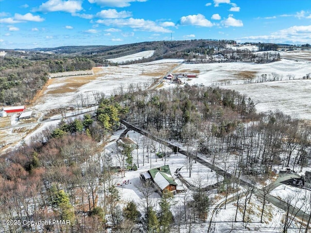 view of snowy aerial view