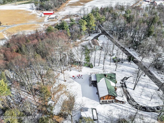 view of snowy aerial view