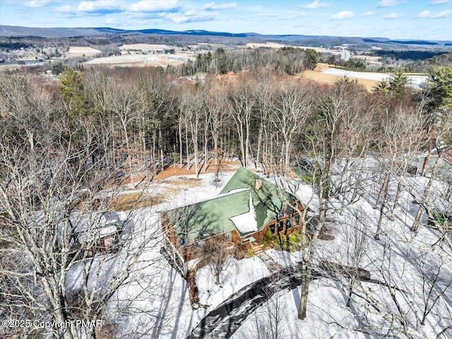 snowy aerial view featuring a mountain view