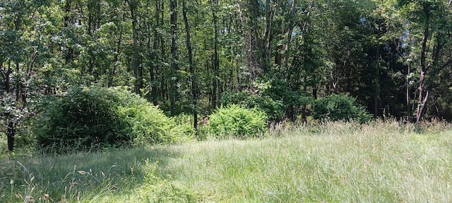 719 Toll Rd, Effort, PA 18330