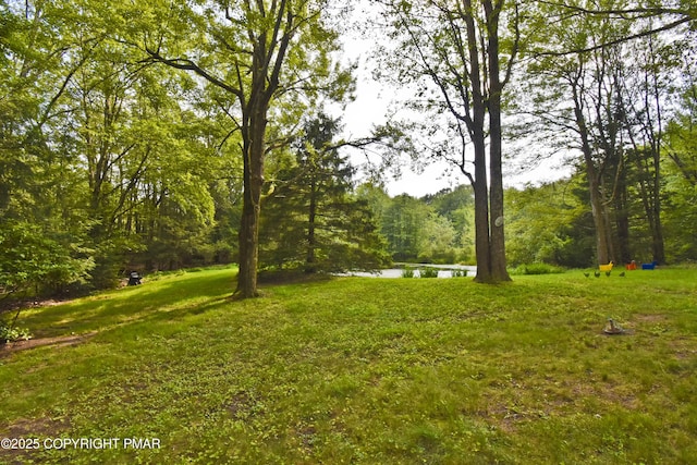 144 Fairview Ave, Mount Pocono, PA 18344 - photo 27