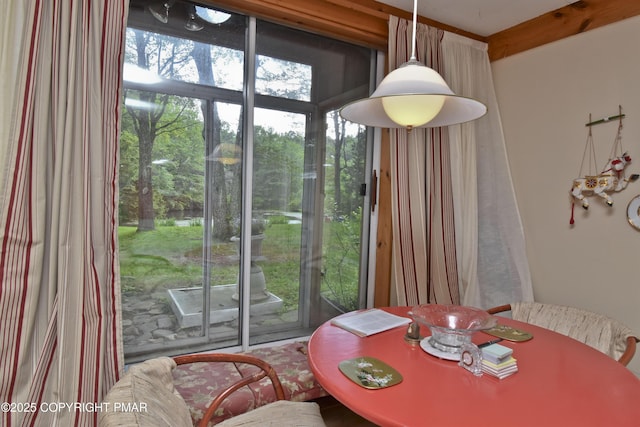 144 Fairview Ave, Mount Pocono, PA 18344 - photo 11