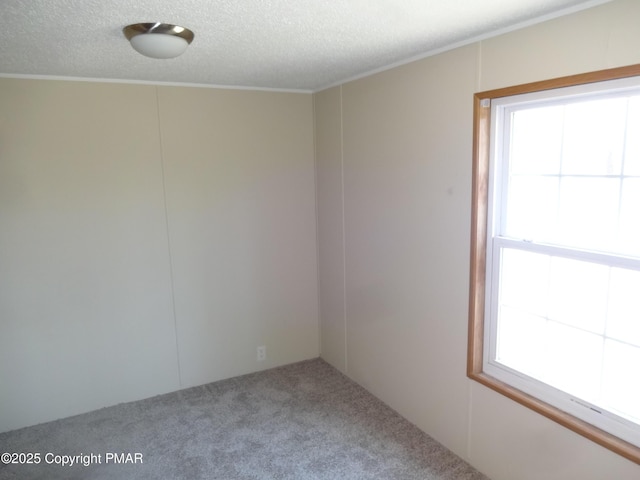 carpeted spare room with a healthy amount of sunlight and a textured ceiling