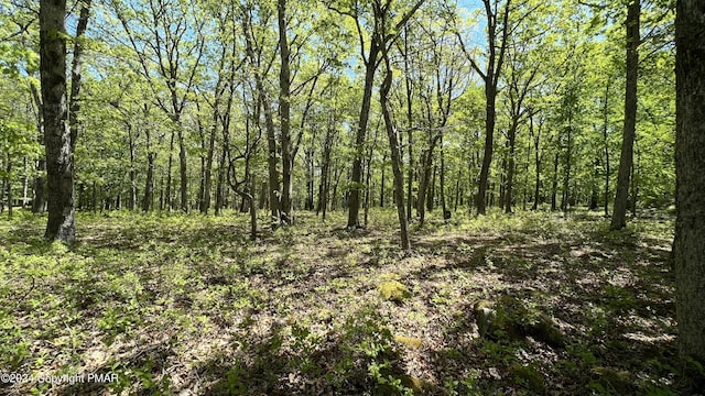 LOT151 Bear Dr, Bushkill PA, 18324 land for sale