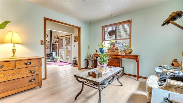 7924 Sleepy Hollow Dr, Tobyhanna, PA 18466 - interior space featuring baseboards, a wood stove, and light wood-style flooring
