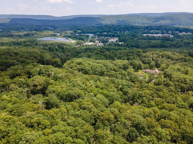 243 R Own Rd, East Stroudsburg, PA 18302 - aerial view of a heavily wooded area and a water and mountain view