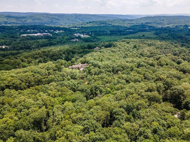 243 R Own Rd, East Stroudsburg, PA 18302 - drone / aerial view of a heavily wooded area and mountains