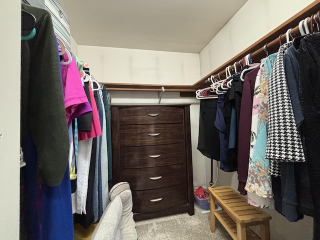 1161 Deer, Pocono Pines, PA 18350 - walk in closet with carpet floors