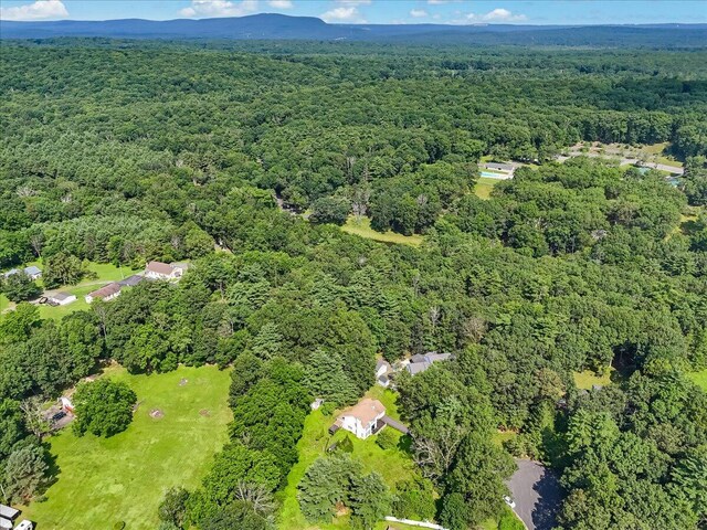 113 Dennis Ct, East Stroudsburg, PA 18301 - aerial overview of property's location with a forest
