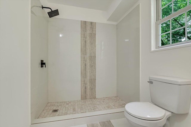 113 Dennis Ct, East Stroudsburg, PA 18301 - bathroom featuring toilet and a shower stall