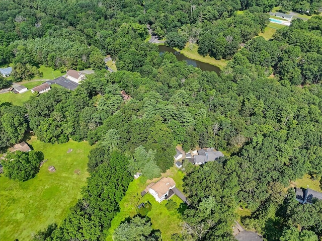 113 Dennis Ct, East Stroudsburg, PA 18301 - aerial view of property's location with a heavily wooded area and a large body of water