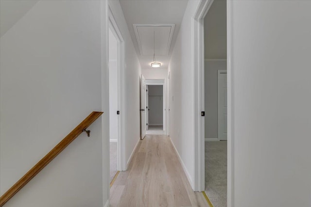 113 Dennis Ct, East Stroudsburg, PA 18301 - hallway with attic access and light wood-type flooring