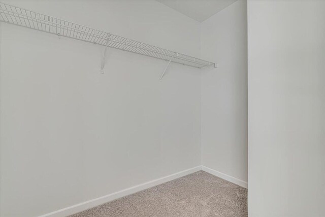 113 Dennis Ct, East Stroudsburg, PA 18301 - walk in closet featuring light colored carpet