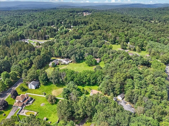 113 Dennis Ct, East Stroudsburg, PA 18301 - aerial view of property's location featuring a heavily wooded area