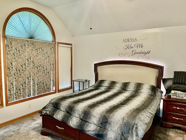 350 Brier Crest Rd, Blakeslee, PA 18610 - bedroom featuring carpet, vaulted ceiling, and baseboards