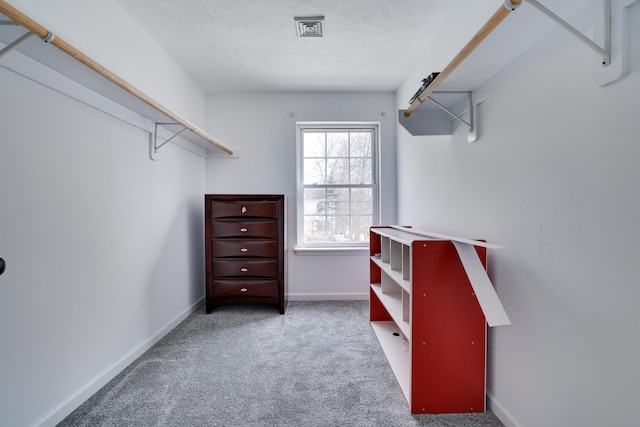 walk in closet featuring carpet flooring