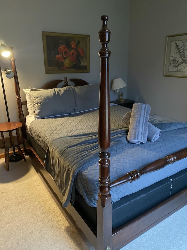 135 Tomhickon Trl, Pocono Lake, PA 18347 - bedroom with carpet floors