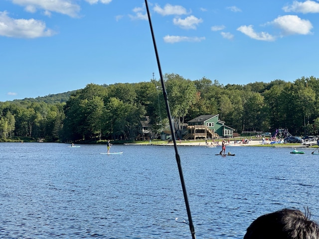 135 Tomhickon Trl, Pocono Lake, PA 18347 - water view with a forest