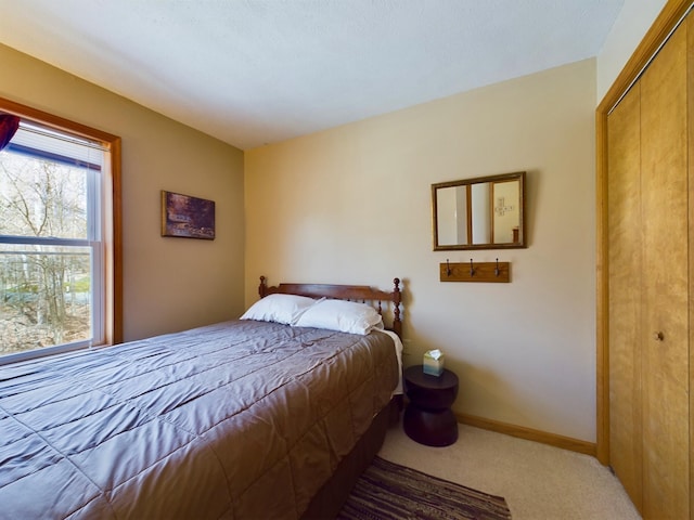135 Tomhickon Trl, Pocono Lake, PA 18347 - bedroom with carpet floors and baseboards