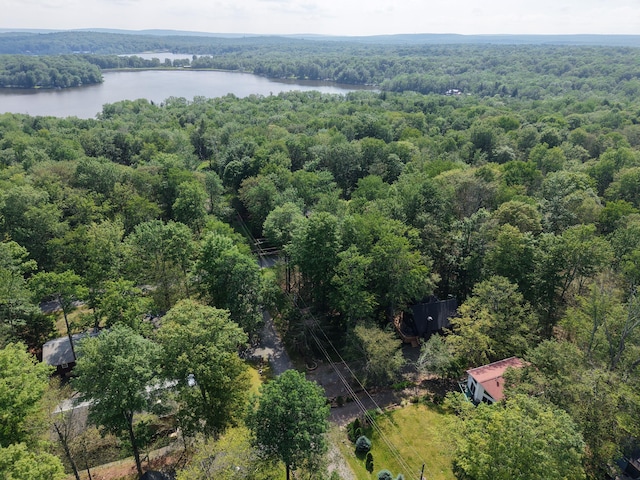 135 Tomhickon Trl, Pocono Lake, PA 18347 - drone / aerial view of a forest and a large body of water