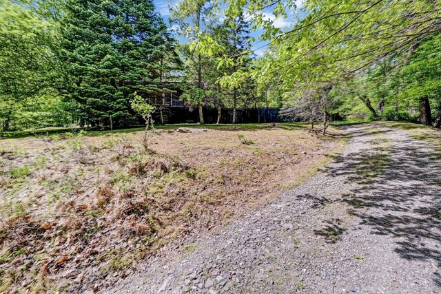 2285 Beartown Rd, Canadensis, PA 18325 - photo 48