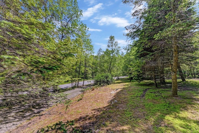 2285 Beartown Rd, Canadensis, PA 18325 - photo 57