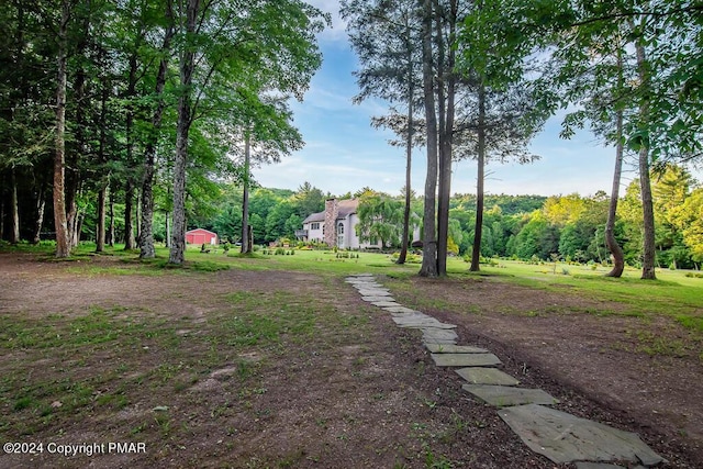 295 Hty Rd, Kunkletown, PA 18058 - view of green lawn