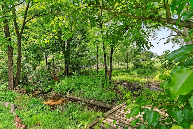 100 Mahoning Dr E, Lehighton, PA 18235 - view of nature