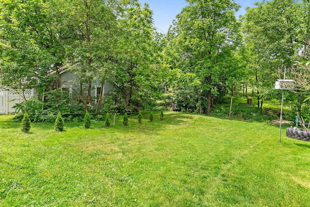 100 Mahoning Dr E, Lehighton, PA 18235 - view of grassy yard