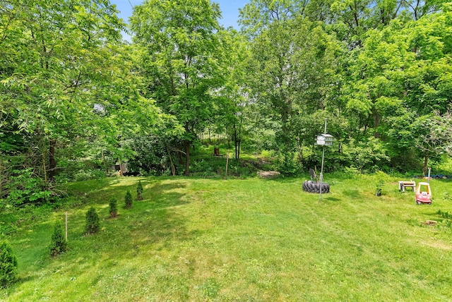 100 Mahoning Dr E, Lehighton, PA 18235 - view of grassy yard