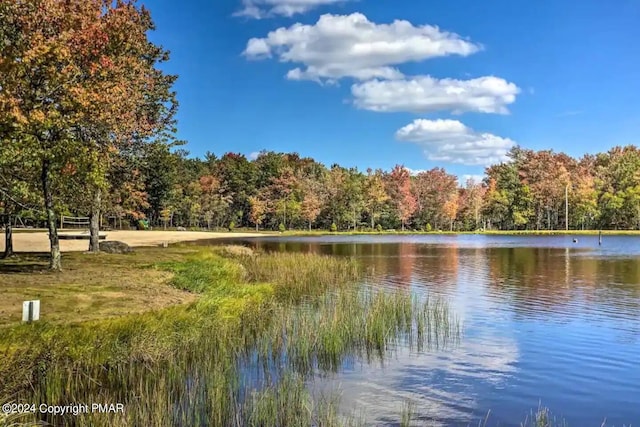 view of water feature featuring a wooded view