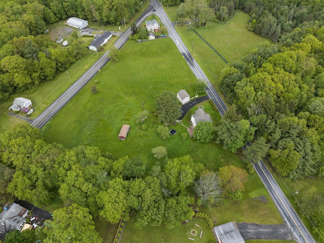 349 Carlton Rd, Mount Pocono, PA 18344 - aerial overview of property's location