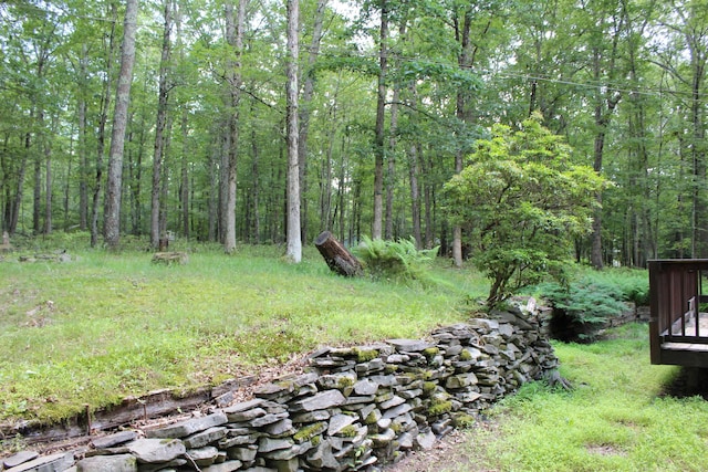 5147 Arrowhead Ln, East Stroudsburg, PA 18302 - view of yard featuring a view of trees