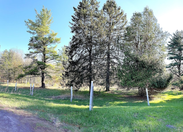 247 Buck Blvd, White Haven, PA 18661 - view of yard