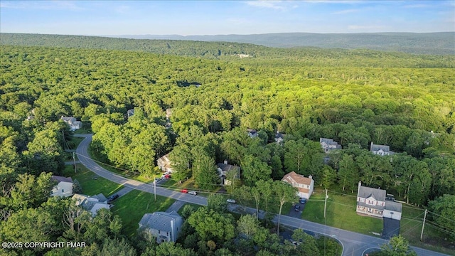 223 Kensington Dr, Bushkill, PA 18324 - photo 34